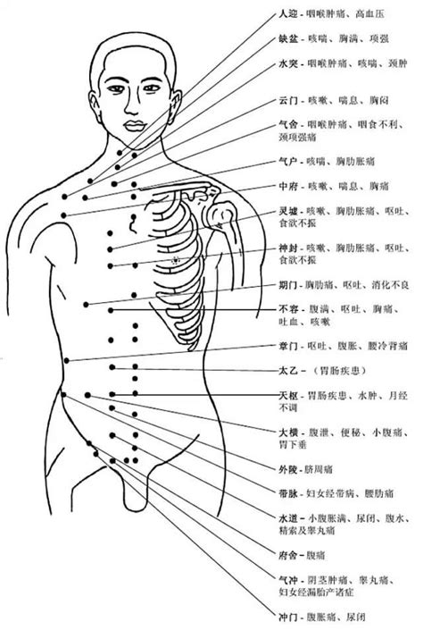 看穴|詳解人體各穴位位置及功效！